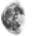 Moon - Waning_gibbous